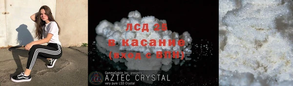 гидра Алексин
