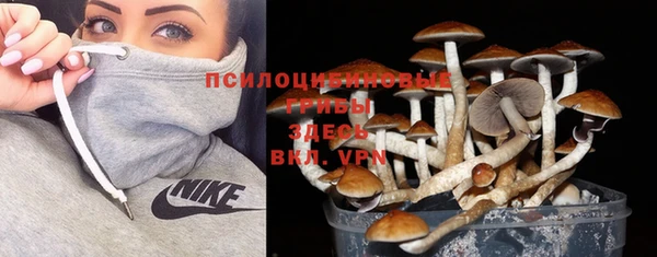 дурь Семилуки