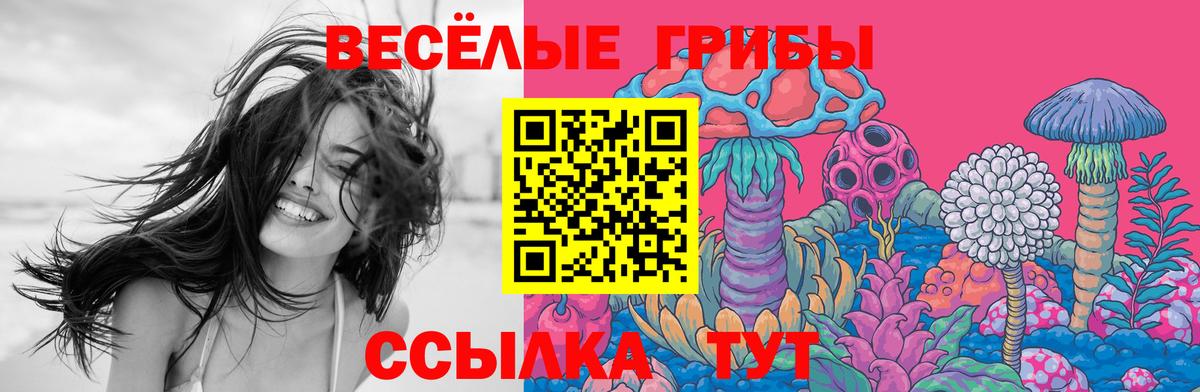 Галлюциногенные грибы прущие грибы  Глазов  Галлюциногенные грибы прущие грибы 