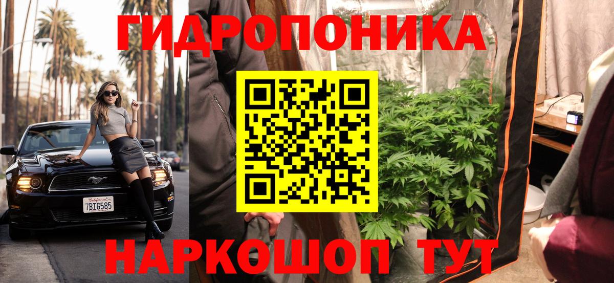 Канабис OG Kush Глазов